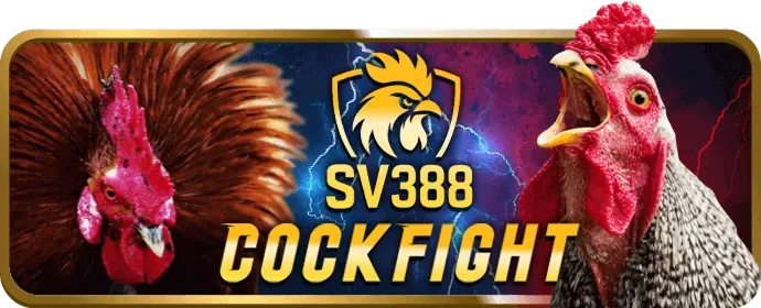 Hướng dẫn chơi game bài tại EE88