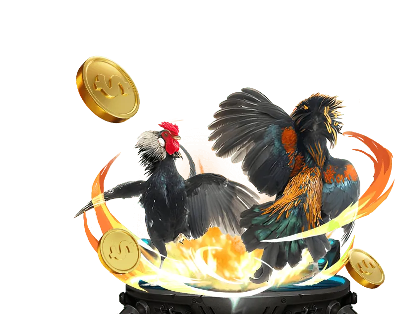 Đá gà truyền thống Việt Nam tại M8WINWIN